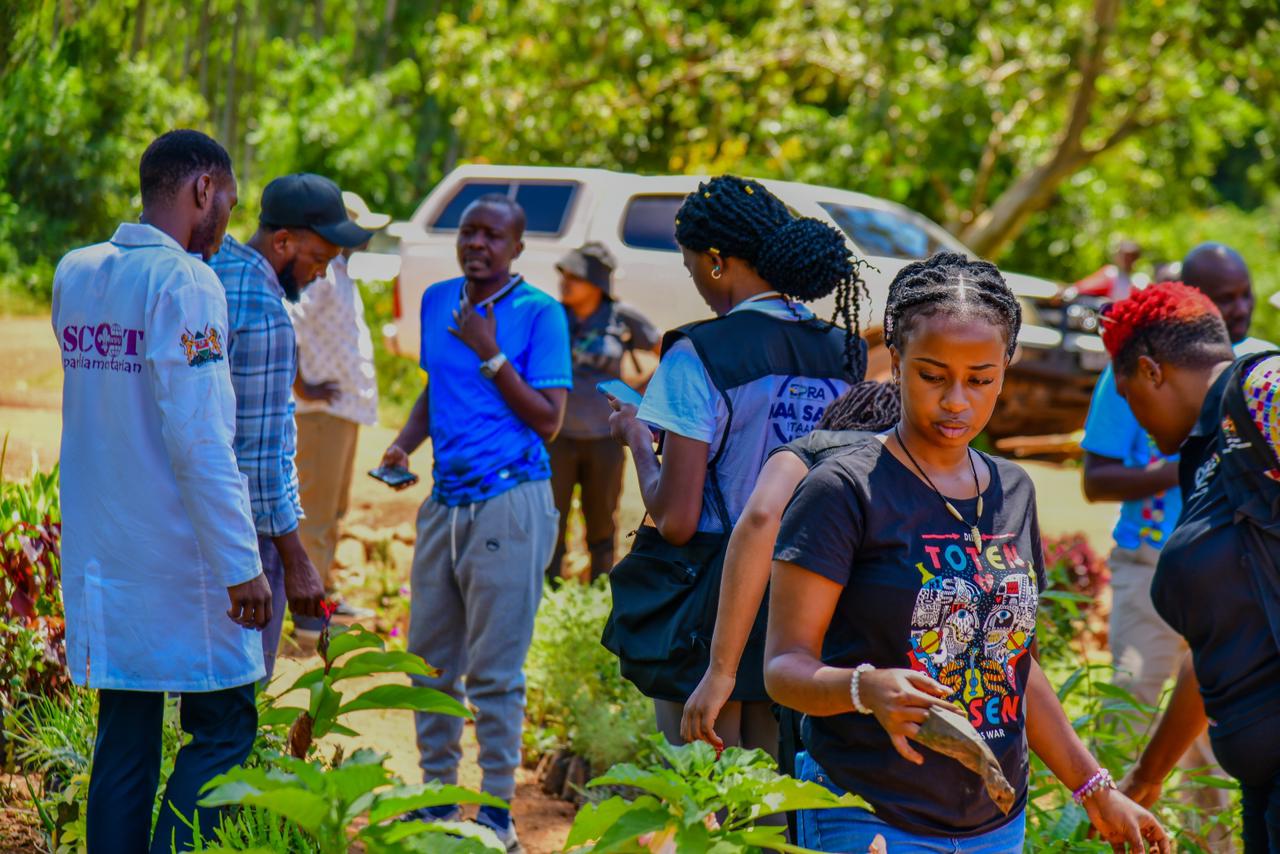 Nairobi travel memory